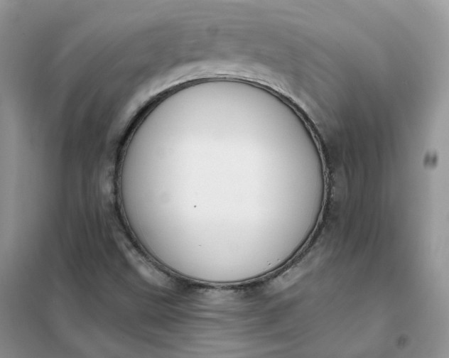 X0000102041499200808011458