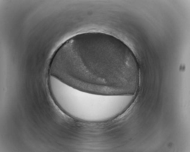 X0000102041500200808011458