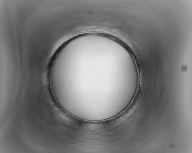 X0000102041501200808011458