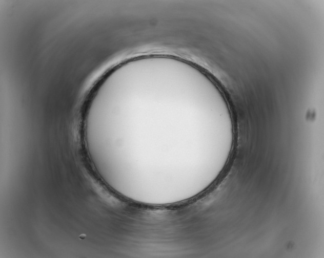 X0000102041502200808011458