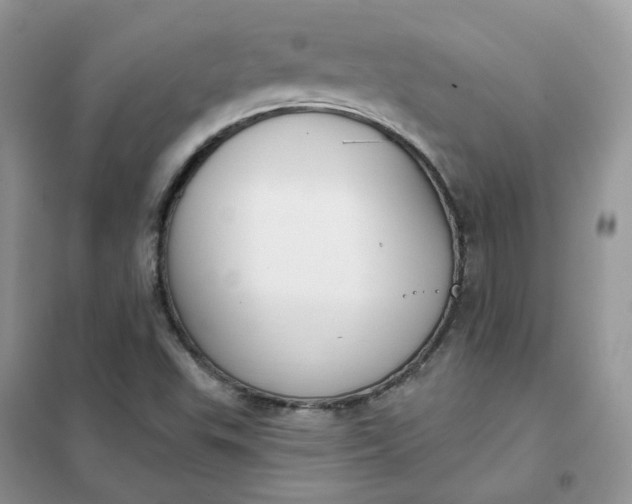 X0000102041503200808011458