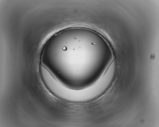 X0000102041504200808011458