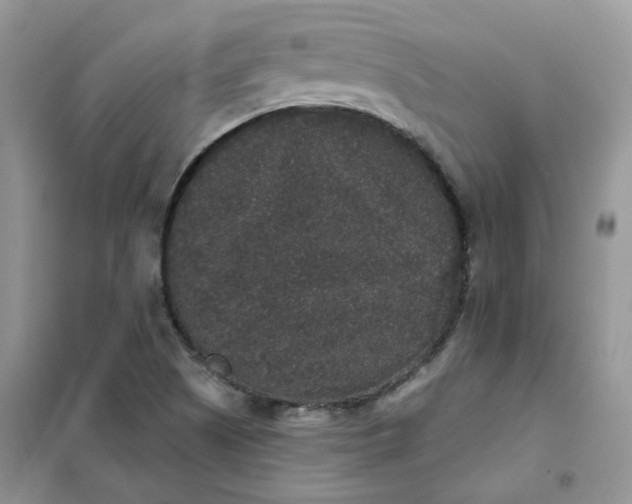 X0000102041505200808011458