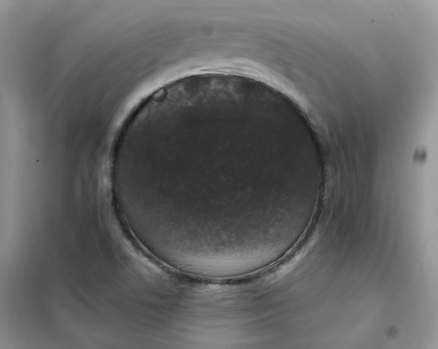 X0000102041506200808011458