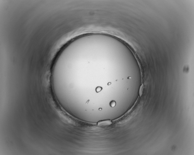 X0000102041507200808011458