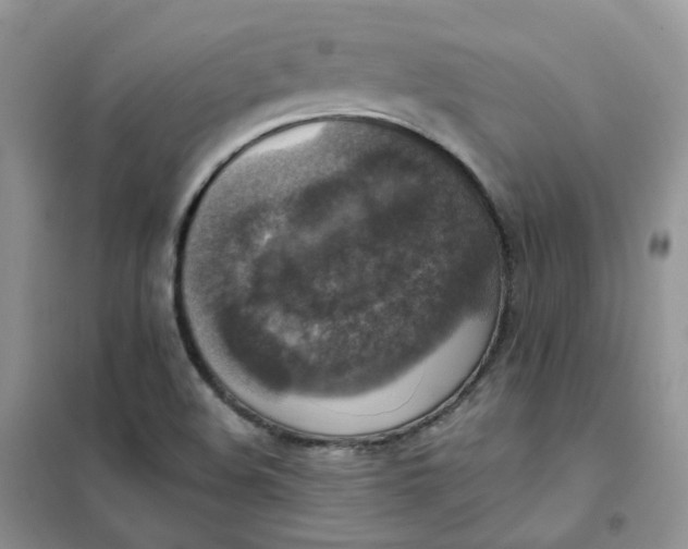 X0000102041508200808011458