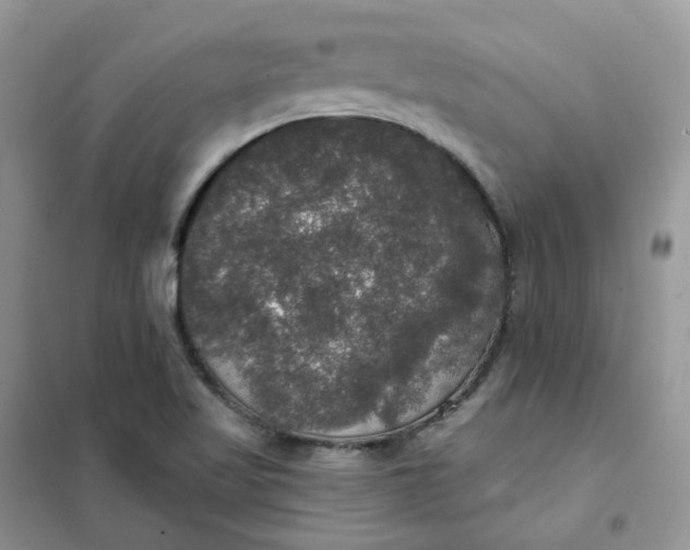 X0000102041509200808011458