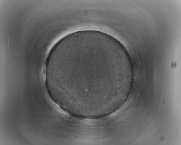 X0000102041510200808011458