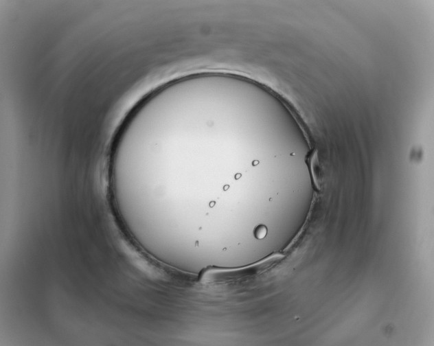 X0000102041511200808011458