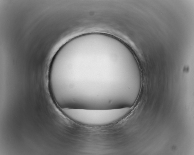 X0000102041512200808011458