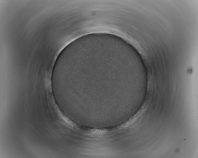 X0000102041513200808011458