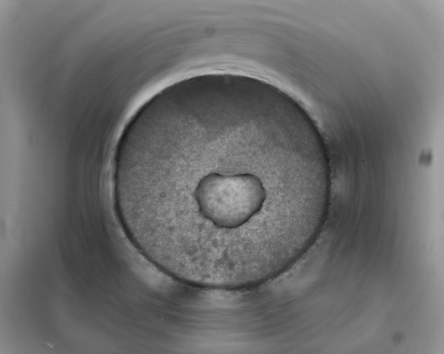 X0000102041514200808011458