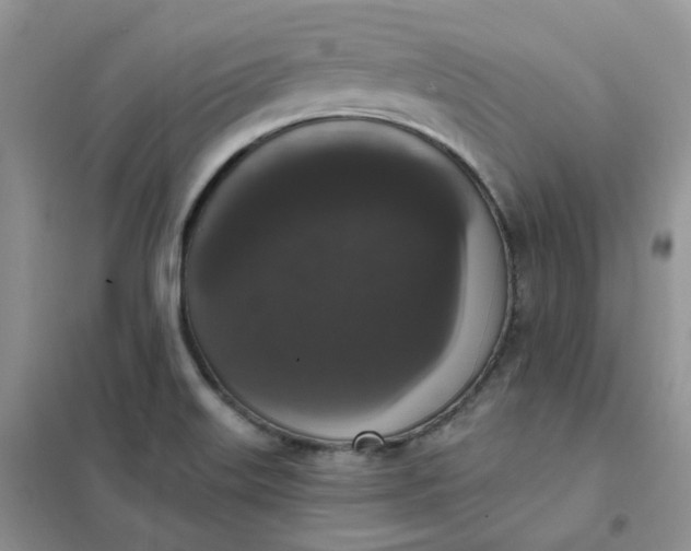 X0000102041515200808011458