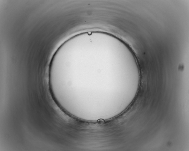 X0000102041516200808011458