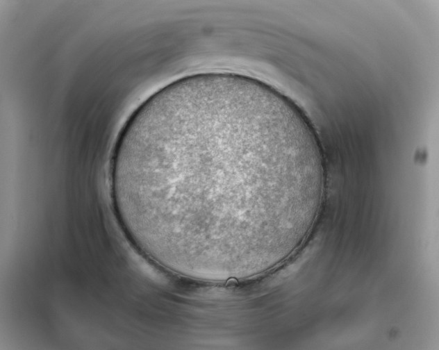 X0000102041517200808011458