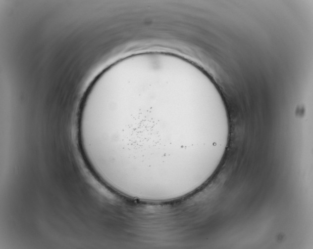 X0000102041518200808011459