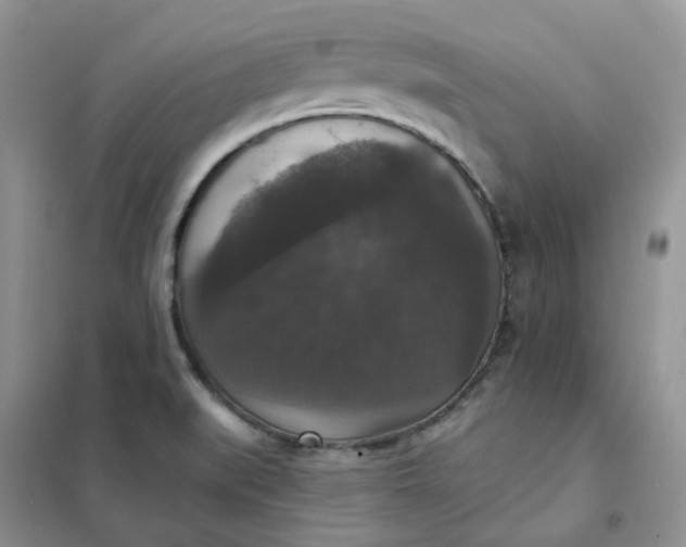 X0000102041519200808011459