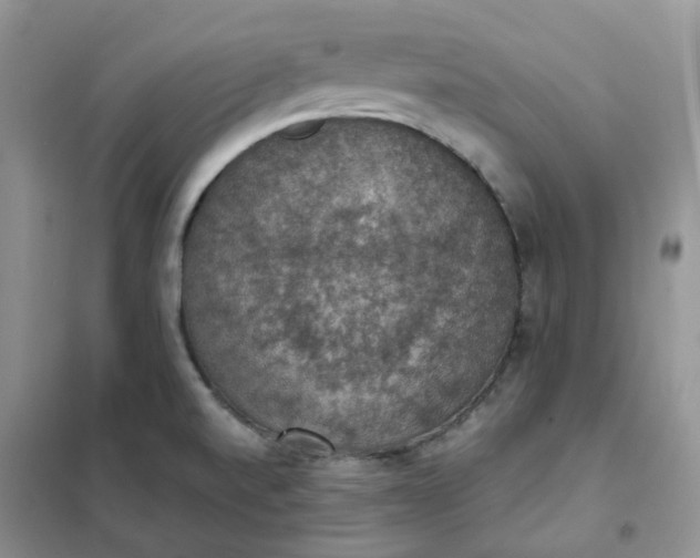 X0000102041520200808011459