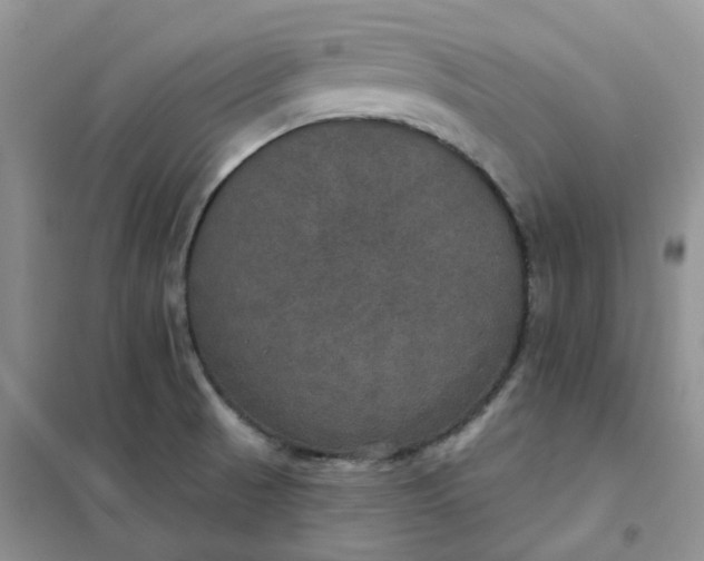 X0000102041521200808011459