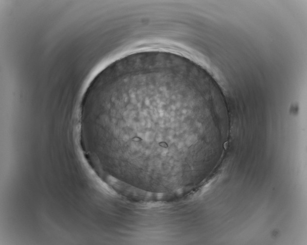 X0000102041522200808011459