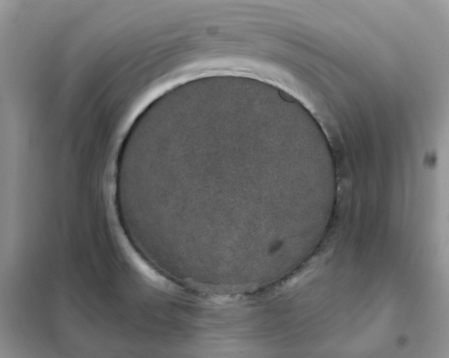 X0000102041523200808011459