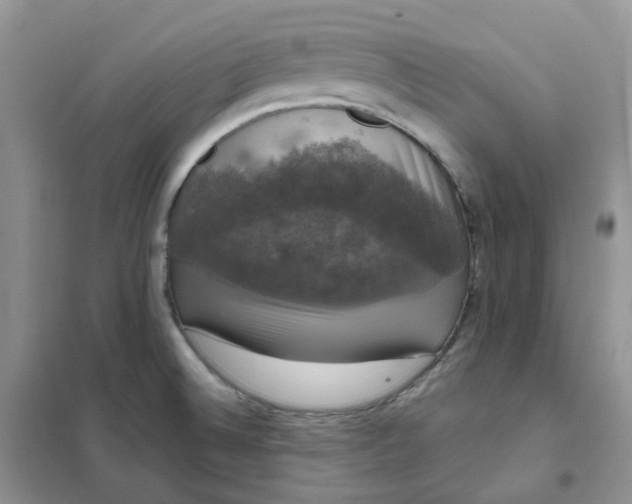 X0000102041524200808011459