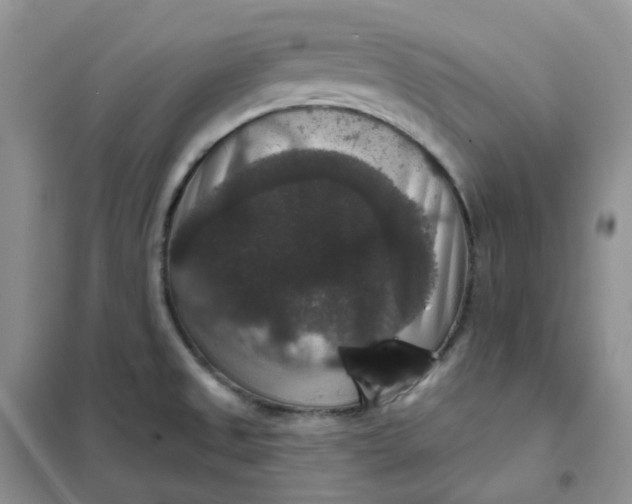 X0000102041525200808011459