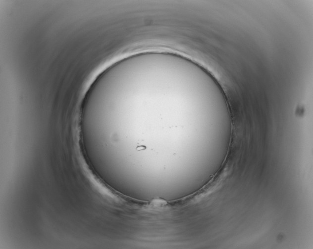 X0000102041526200808011459