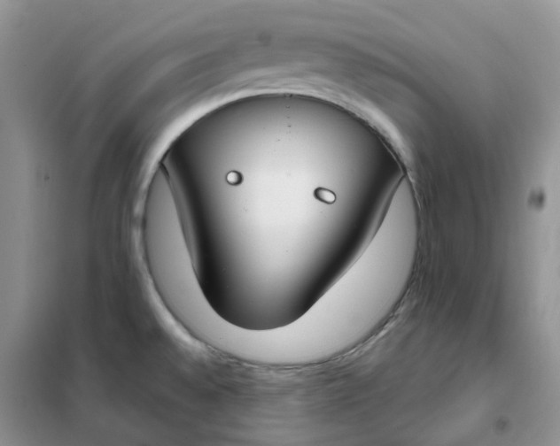 X0000102041528200808011459