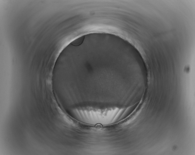 X0000102041529200808011459