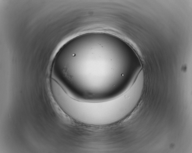 X0000102041530200808011459