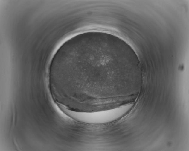 X0000102041531200808011459