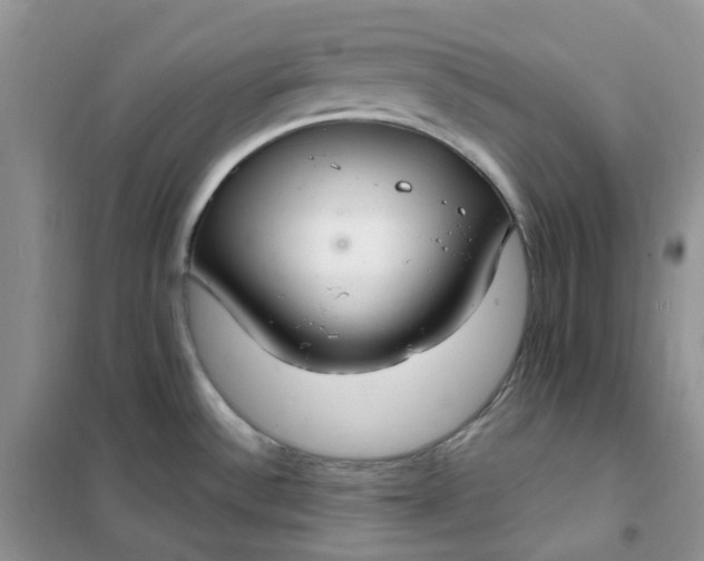 X0000102041532200808011459