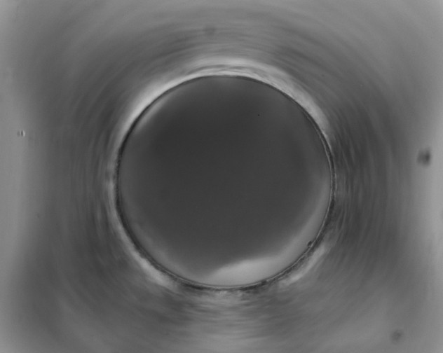 X0000102041533200808011459