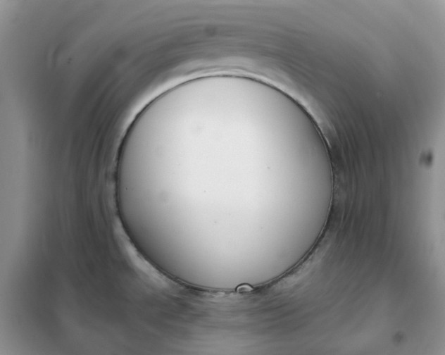 X0000102041534200808011459