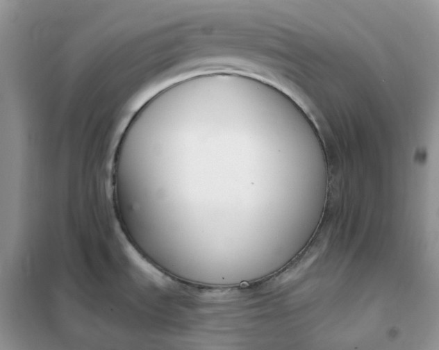 X0000102041535200808011459