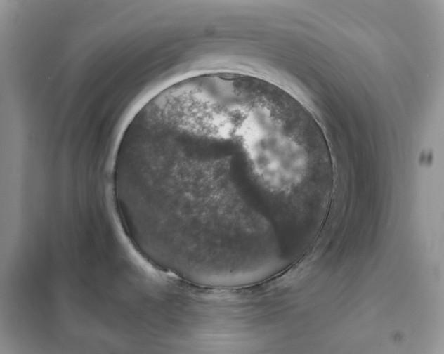 X0000102041536200808011459