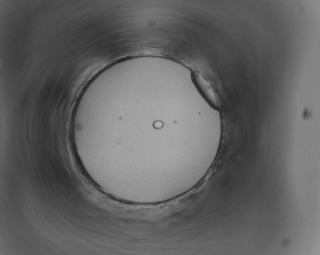 X0000102040001200808081846