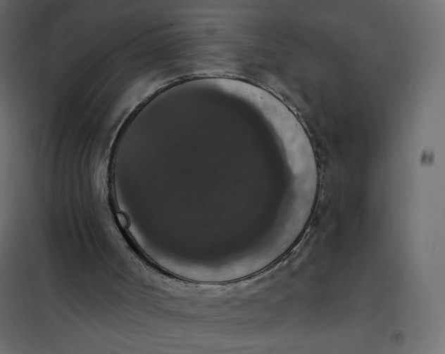 X0000102040002200808081846