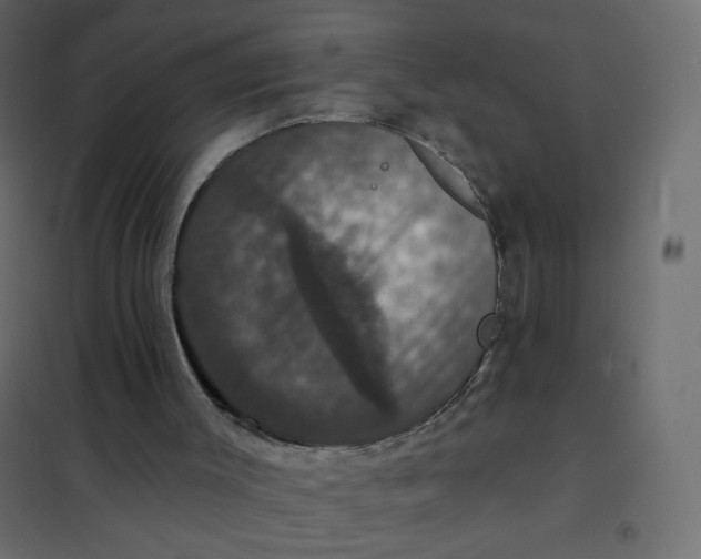 X0000102040003200808081846