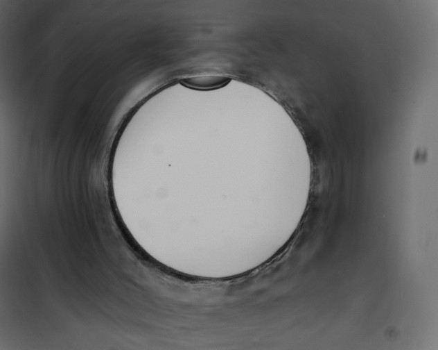 X0000102040004200808081846