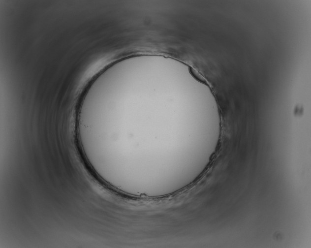 X0000102040005200808081846