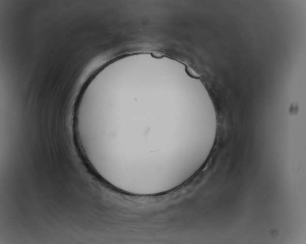 X0000102040006200808081846