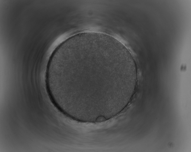 X0000102040007200808081846