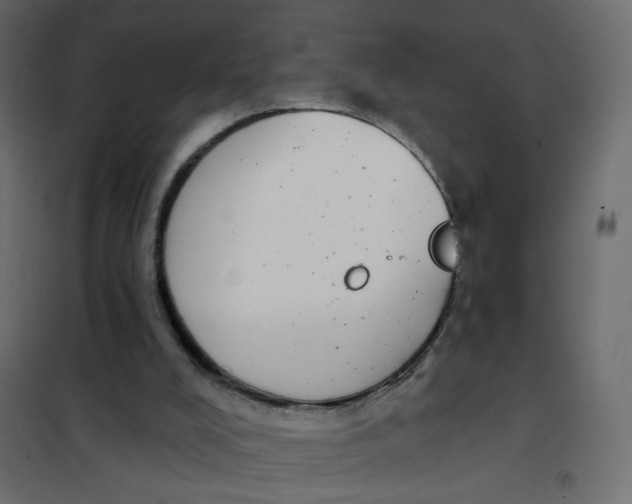 X0000102040008200808081846