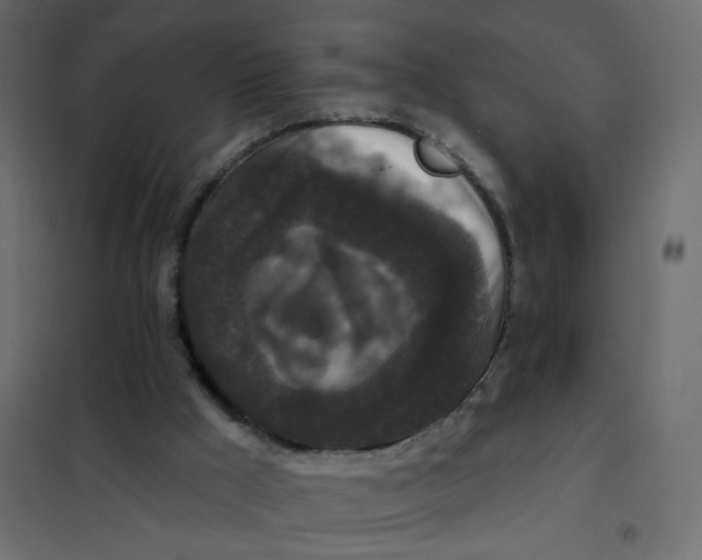 X0000102040009200808081846