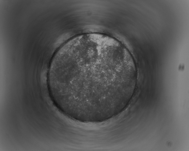 X0000102040010200808081846