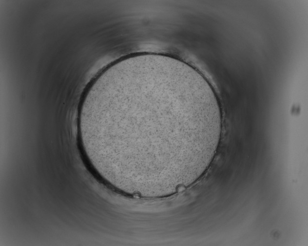 X0000102040011200808081846