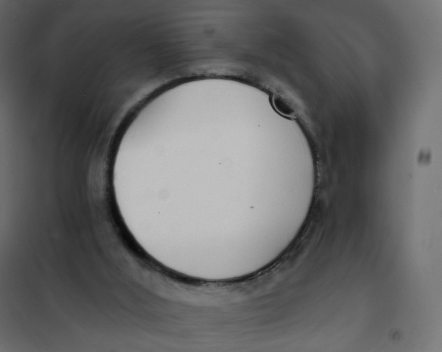 X0000102040012200808081846