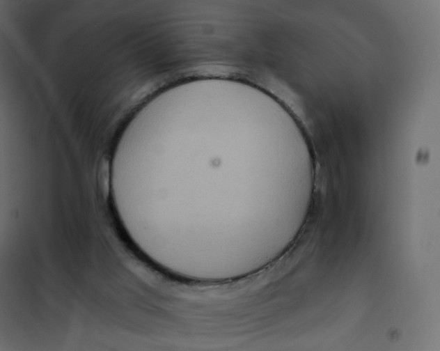 X0000102040013200808081846